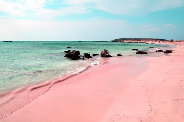 Selain Indonesia, Ini Negara yang Punya Pantai Cantik Berwarna Pink