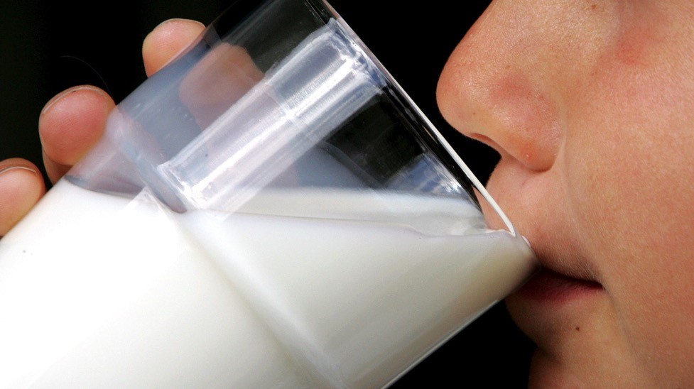 Begini Caranya Susu Sapi Meningkatkan Konsentrasi Milk Lovers!